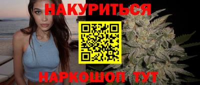 сатива Бузулук