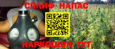 сатива Бугуруслан