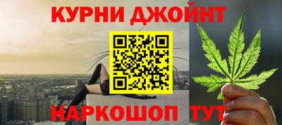 сатива Бузулук